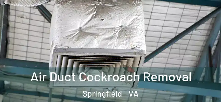 Air Duct Cockroach Removal Springfield - VA