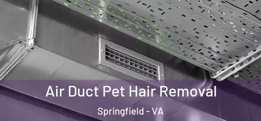 Air Duct Pet Hair Removal Springfield - VA