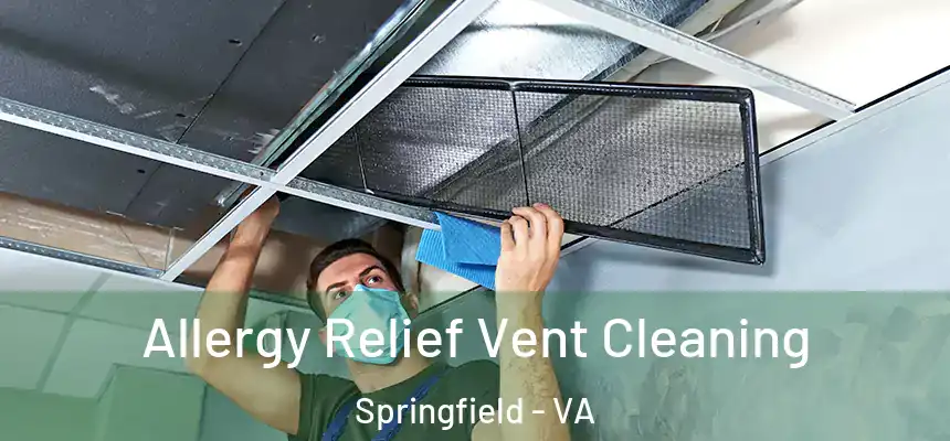 Allergy Relief Vent Cleaning Springfield - VA