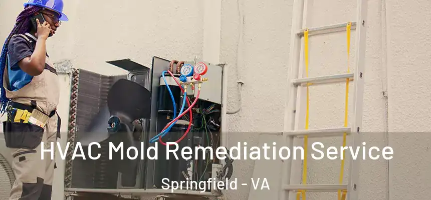  HVAC Mold Remediation Service Springfield - VA