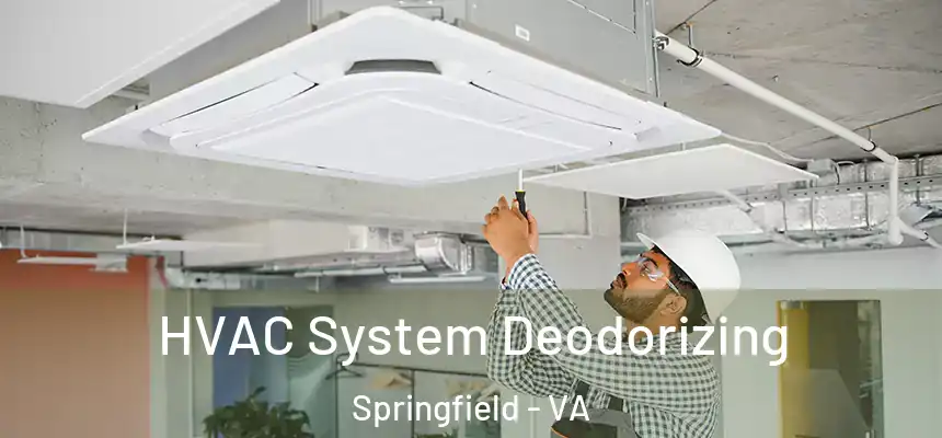 HVAC System Deodorizing Springfield - VA