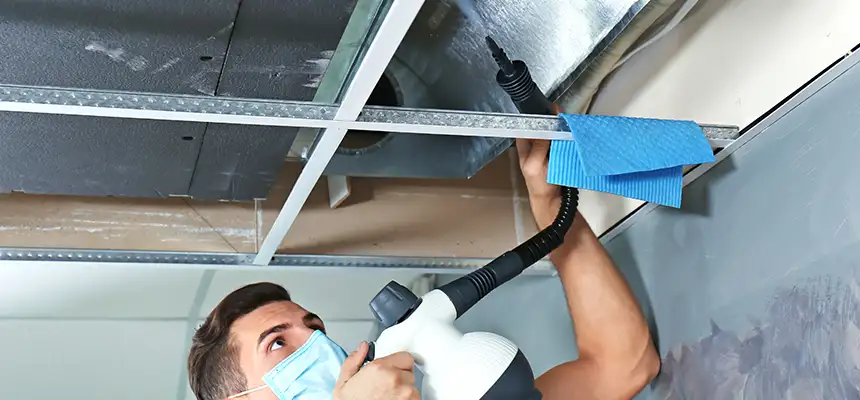 Our Air Duct Rodent Removal Services in Springfield, VA