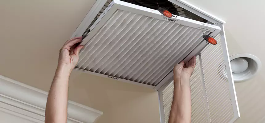 Our Insect Removal from Air Ducts Services in Springfield, VA