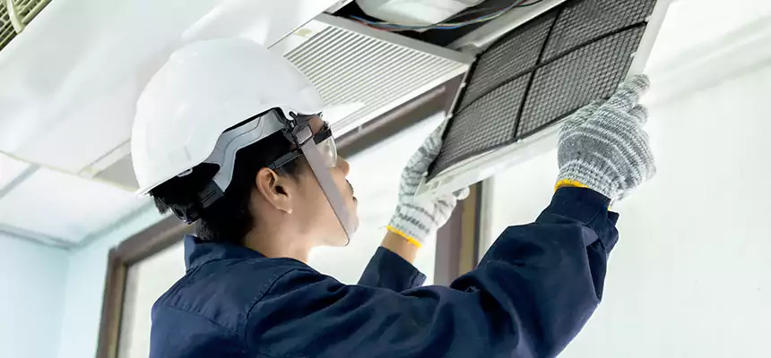 Our Mold & Mildew Removal from Air Ducts Services in Springfield, VA