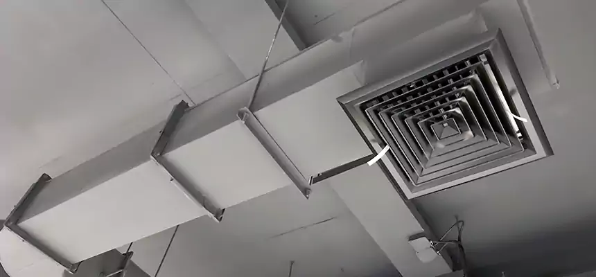 Our Pest Removal From Ducts Services in Springfield, VA