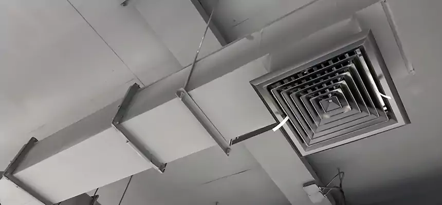 Our Rodent Droppings In Vents Services in Springfield, VA