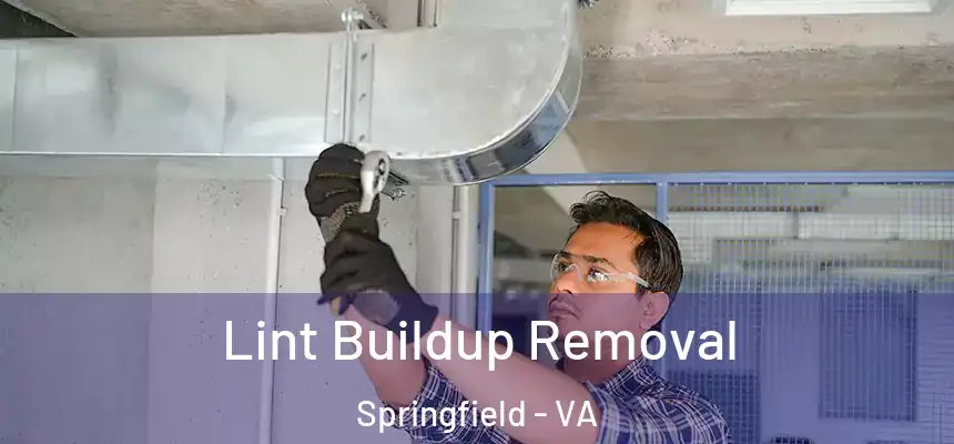  Lint Buildup Removal Springfield - VA