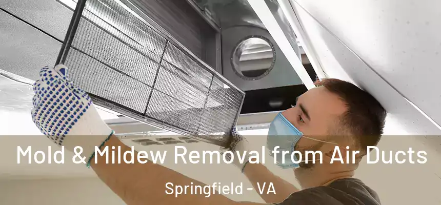 Mold & Mildew Removal from Air Ducts Springfield - VA