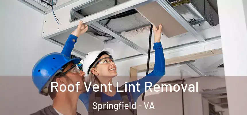  Roof Vent Lint Removal Springfield - VA