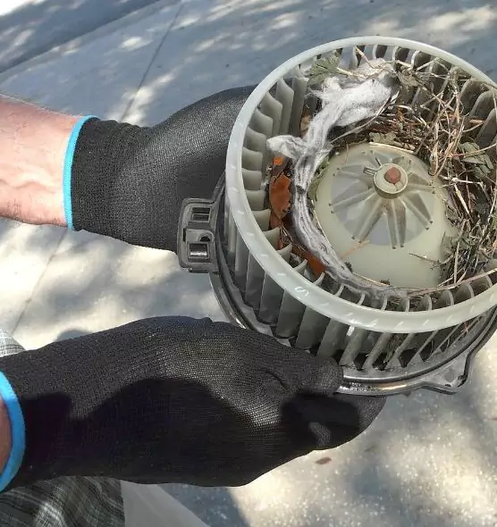 About Air Duct Mice Removal in Springfield, VA