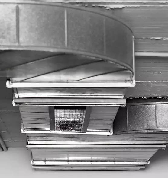 Professional Air Duct Pest Removal in Springfield, VA