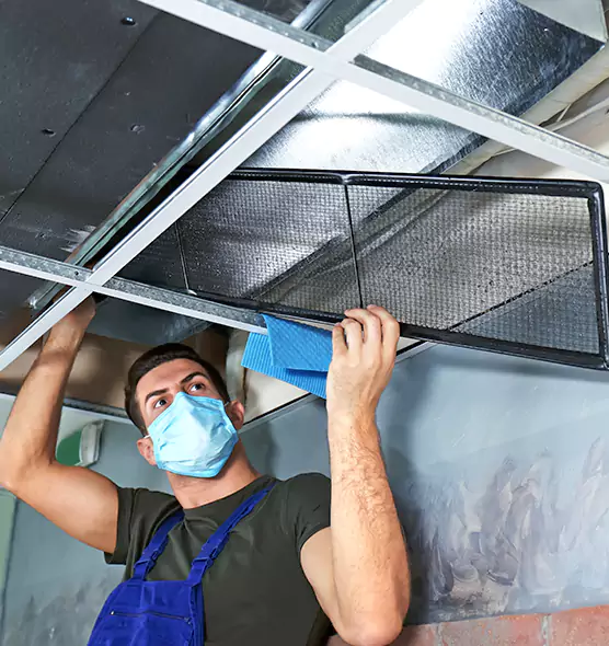 Professional Air Duct Pollen Cleaning in Springfield, VA