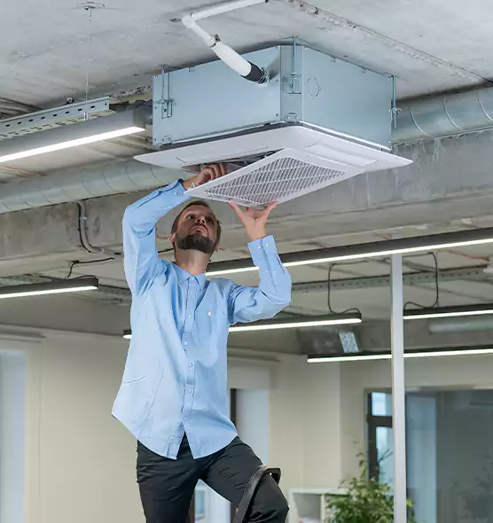 Advanced Rodent Droppings In Vents in Springfield, VA