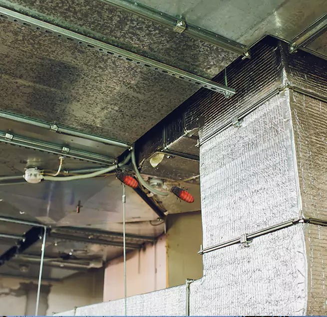 Why Homeowners & Businesses Trust Us in Springfield, VA?