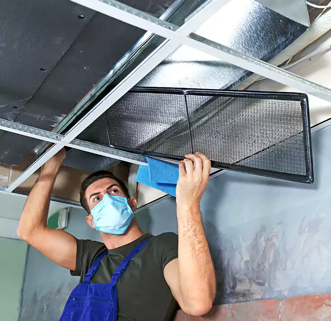 Why Homeowners Businesses Trust Us in Springfield, VA