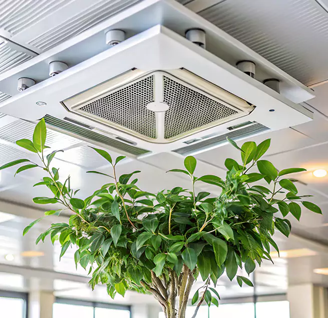 Why Homeowners & Businesses Trust Us in Springfield, VA